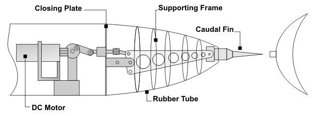 Robotic Fish Design and Underwater Pollution Control